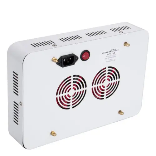 1000W04