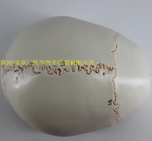 //img.alicdn.com/imgextra/i2/195409353/TB29uKYaHVkpuFjSspcXXbSMVXa_!!195409353.png