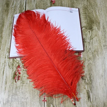 

Wholesale 5ostrich feathers, red 50 to 55 cm / 20-22 inches ostrich feather decoration
