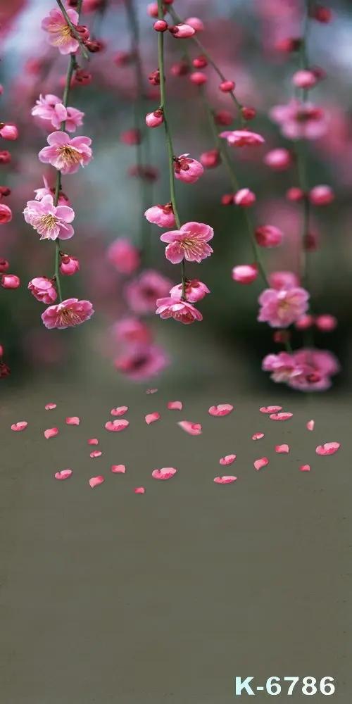 LIFE MAGIC BOX фон для студийной фотосъемки|photography backdrops flower|backdrop flowersphotography |