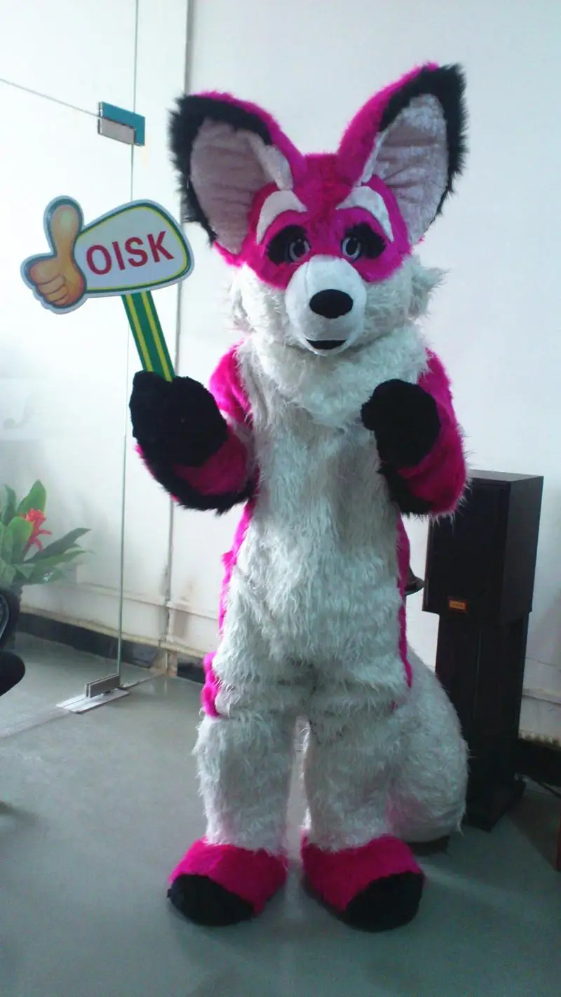 ohlees actual picture Chihuahua Luxury Fox Dog mascot costumes