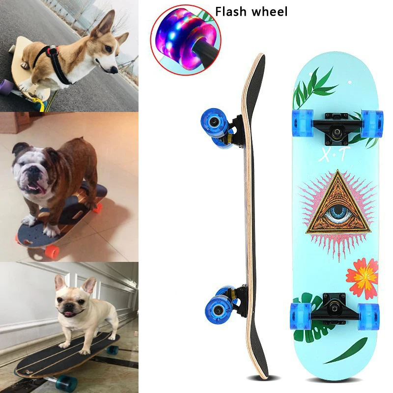 

Pet Dog 80CM Four-wheele Flash Skateboard Funny Dog Toy Roller Scooter Small Large Dogs Double Snubby Long Board Big Dog Toys