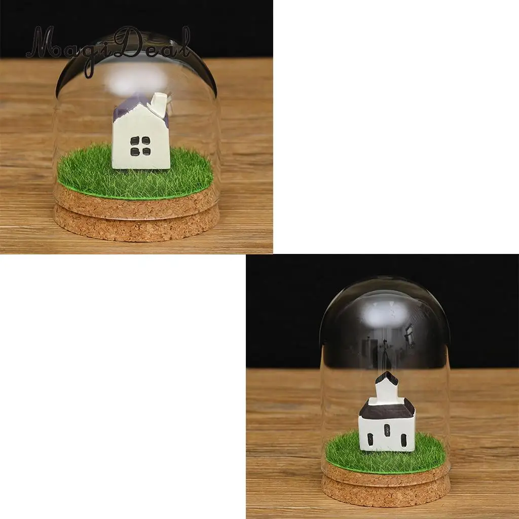2pcs Clear Glass Display Dome Cover Cloche Bell Jar Succulent Terrariums with Wood Cork for Office Table Decor DIY