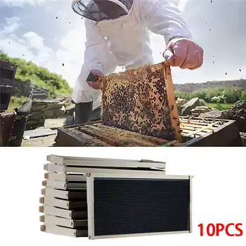 

Beeswax nest Beehive 10 Frame Kit 10 Foundation 10 Deep Frames For Langstroth Beekeeping Pine Beekeeping Equipment @30