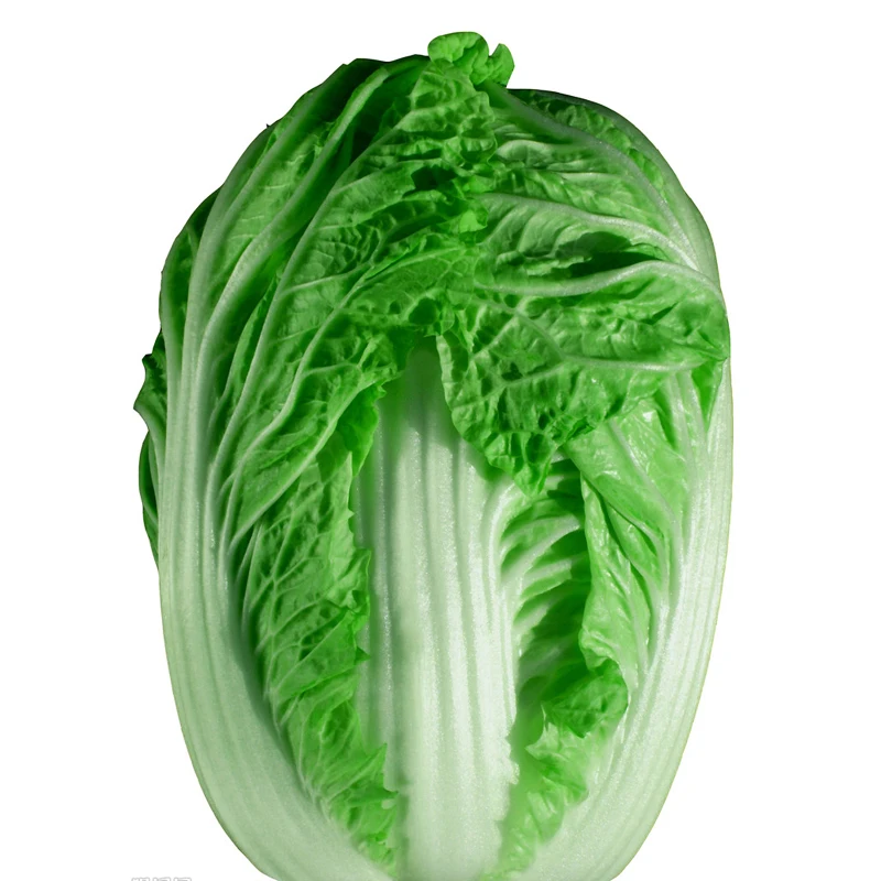 Семена Овощей Без Гмо Купить