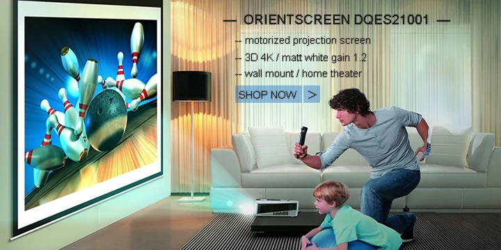 1 Electric Screen-DQES21001