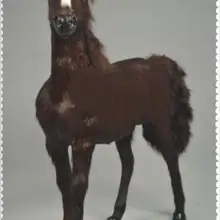 WYZHY производство и 1:6 пот лошадь животные из искусственного меха боевой конь Военная лошадь украшение 36X34 см