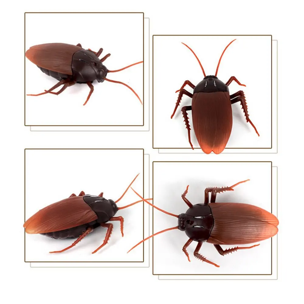 EBOYU RC Cockroach Remote Control Car Vehicle Animal Toys Electronic Realistic Fake Big Insect Bug Glowing Eyes Kids Gift 2