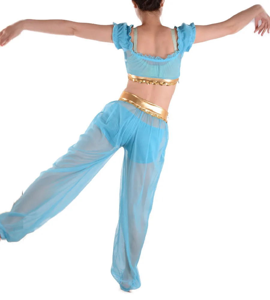 Aladdin's Princess Jasmine Costume women adult cosplay halloween costumes for women Belly dance fantasia dress wholesale 