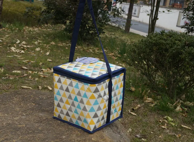 

High quality portable thermal insulated picnic cooler bag food lunch fruit fresh carrier insulation ice pack shoulder bags 10L