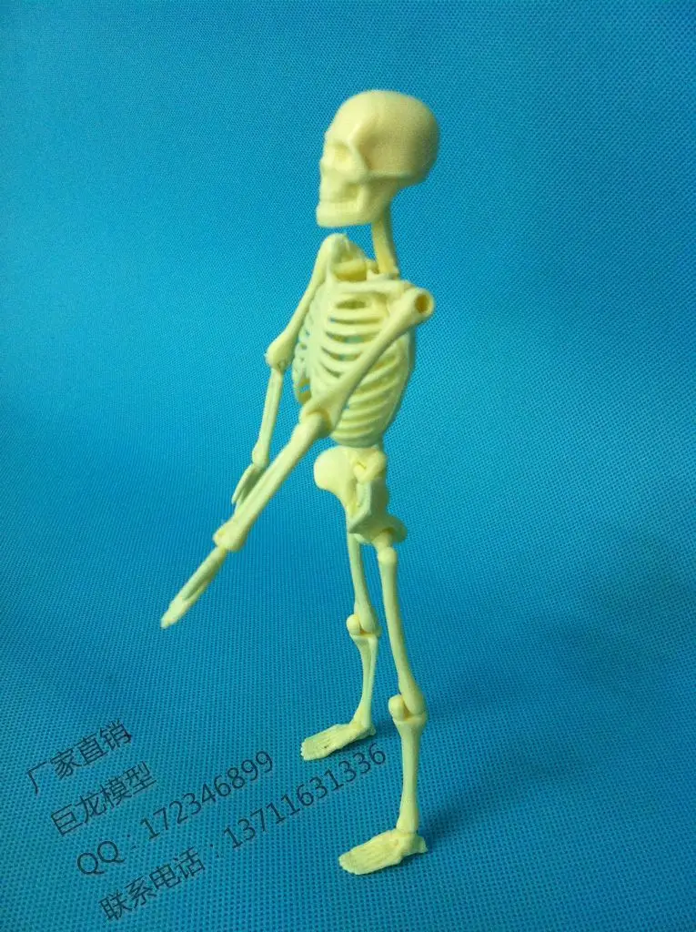 Человеческое тело 20 см сборка образовательная модель скелета игрушки модель человеческого скелета модель запасных частей упаковка