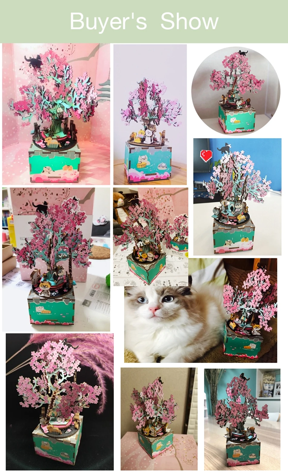 樱花八音盒_05