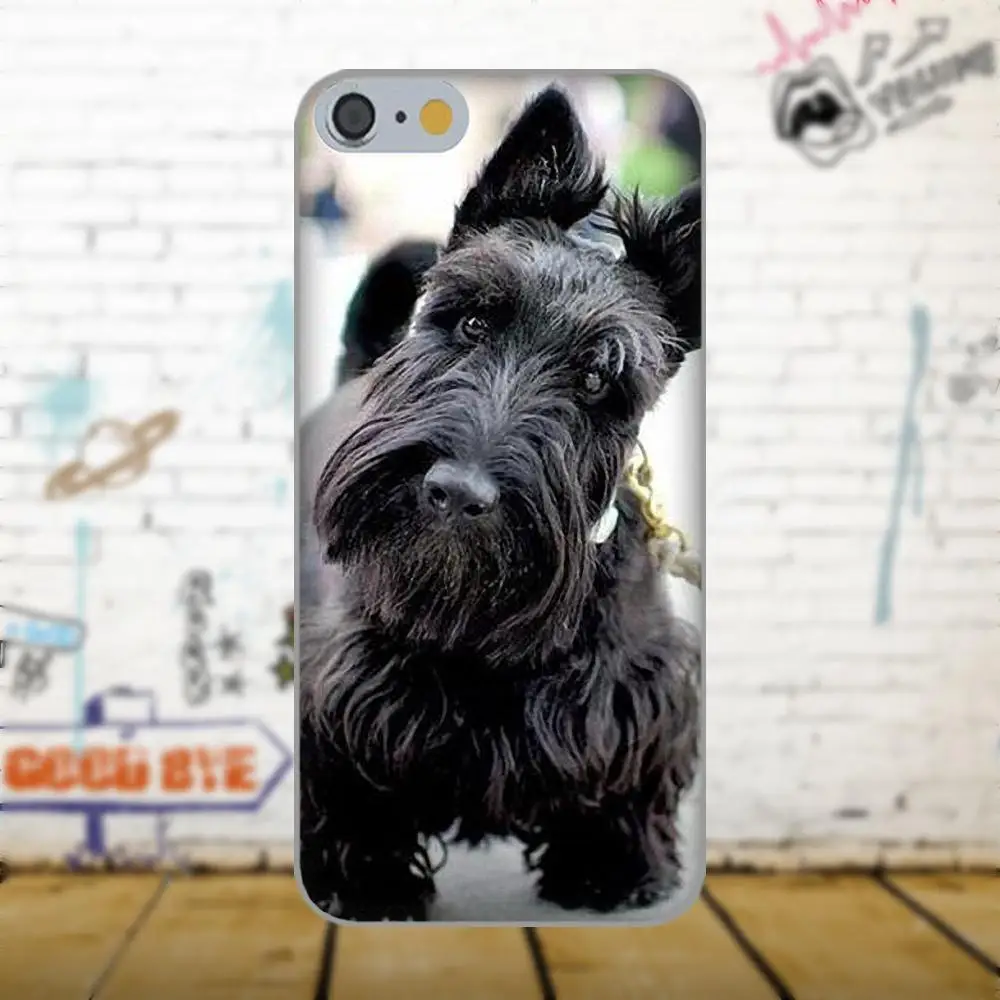Шотландского терьера Собака Щенок щенков для Apple iPhone X 4 4S 5 5C 5S SE 6 6S 7 8 плюс LG G3 G4 G5 G6