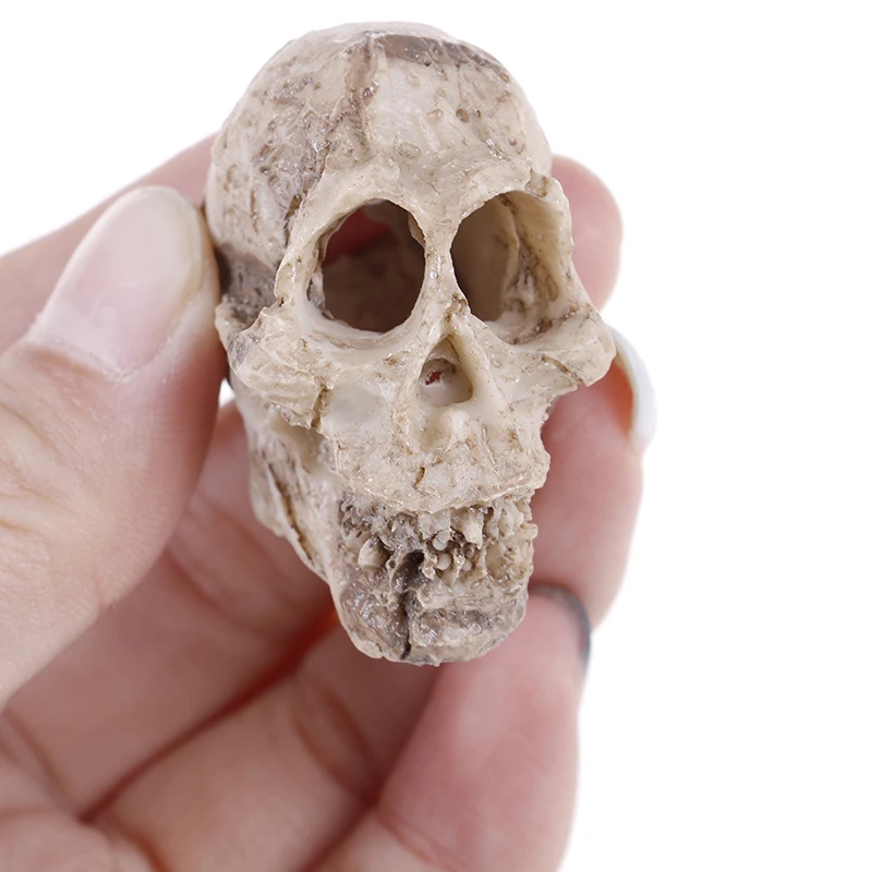

2019 New Arrival Aquarium Decorative Resin Skull Terrarium Decoration Fish Tank Simulation Statue Landscape Ornament