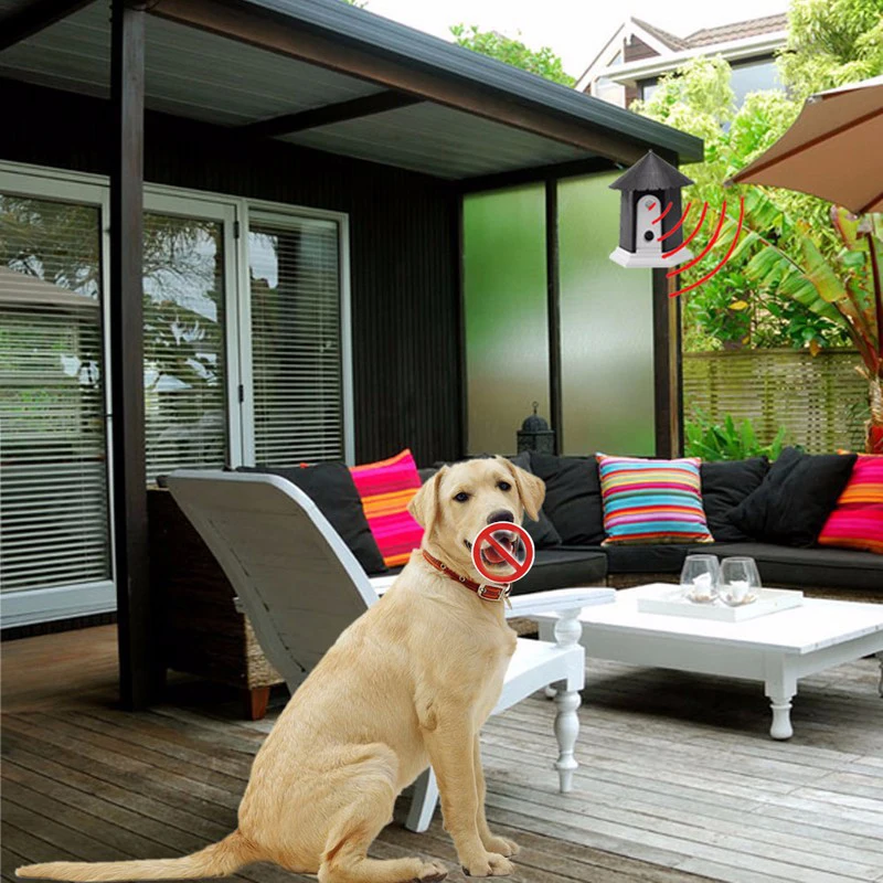 How To Stop Dog From Barking In Backyard