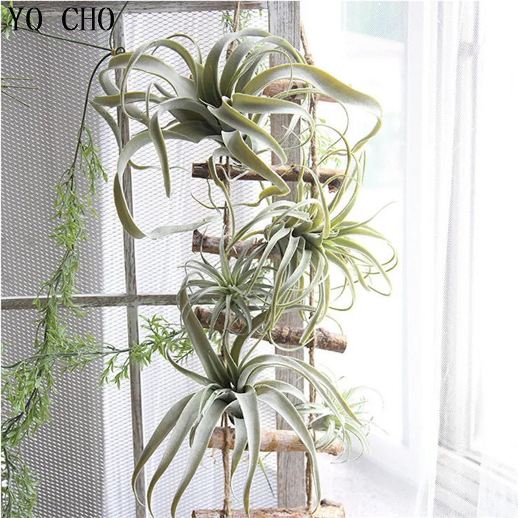 5269017408_1245478559