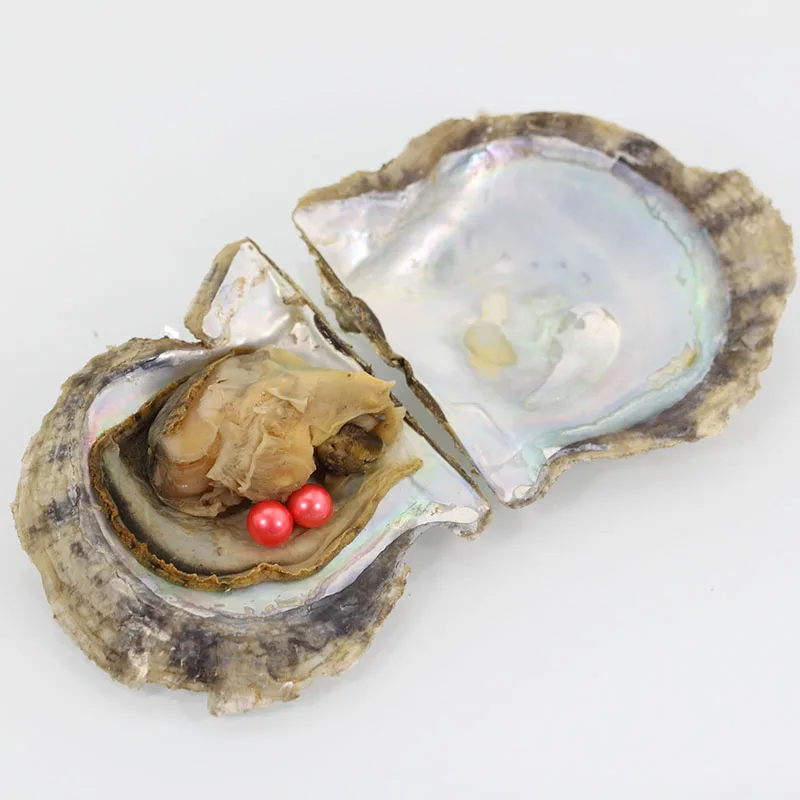 20 шт. жемчужные устрицы Akoya 6 7 мм в вакуумной упаковке|akoya pearl oyster|pearl oysterloose akoya pearls |