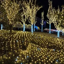 Decoracion navidad 1,5 м* 1,5 м 3*2 м украшение для свадебной вечеринки СВЕТОДИОДНАЯ Сетка Водонепроницаемая гирлянда 8 дисплеев Рождественская наружная