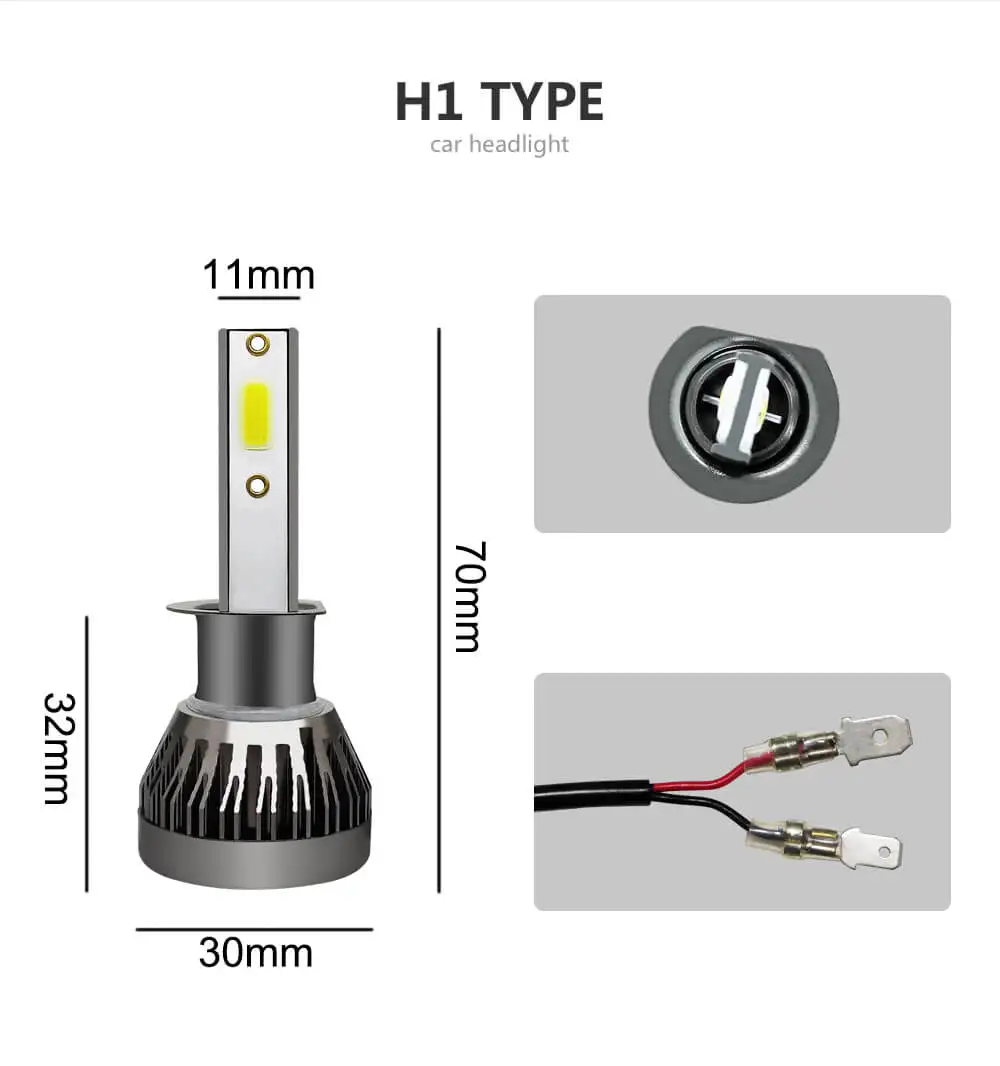 H1