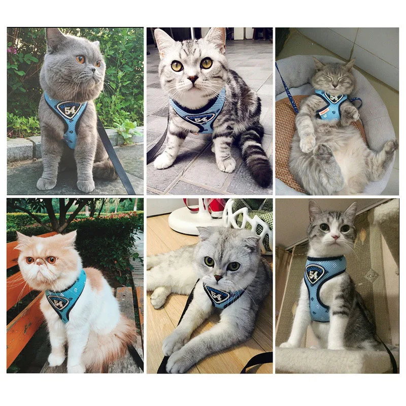Navy Cat Harness And Leash Set (3)