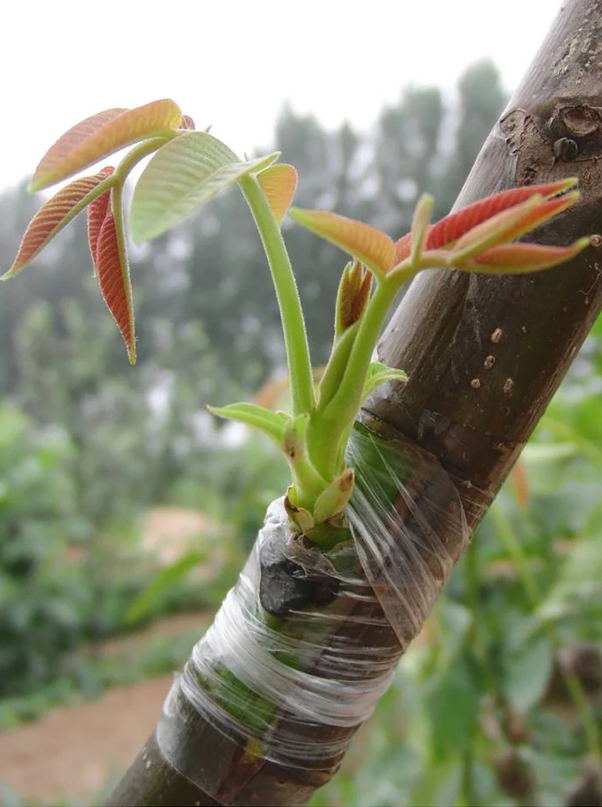 TB27yqqxElnpuFjSZFjXXXTaVXa_!!410136993