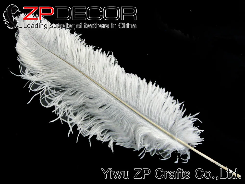 Ostrich Feathers, 10 Pieces - Large OFF WHITE Ostrich Plumes Dyed Drabs Feathers 19-243