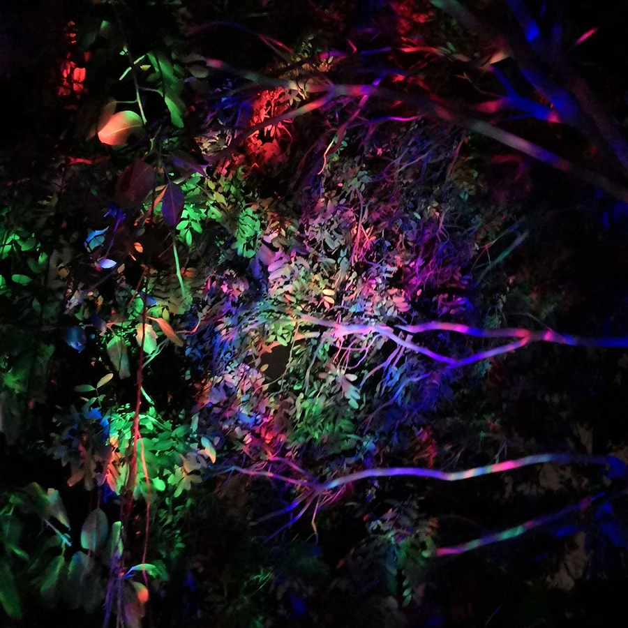9115180192_579571234