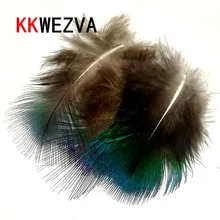 KKWEZVA 50PCS Small Fly Tying Peacock Feathers Blue Irridescent Body plummage Tail Throat Check Tag Fly fishing lures Material KKWEZVA 50PCS Small Fly Tying Peacock Feathers Blue Irridescent Body plummage Tail Throat Check Tag Fly fishing lures Material