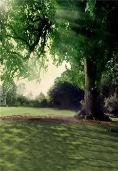 

LIFE MAGIC BOX Shade 150x200cm Custom Photo Backdrops Photo Background Props scenic backdrops for photography N10256