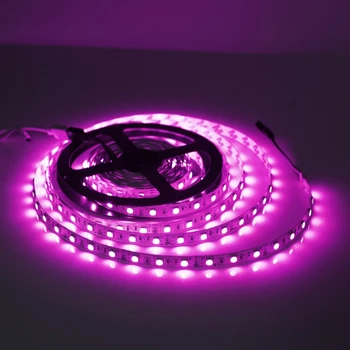 

YAM 5m 300 LEDs Flexible Strip Light 5050 Non Waterproof DC 12V Xmas Party Decor Widely using All Decoration and Festivals