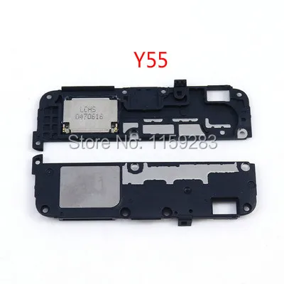 Y55