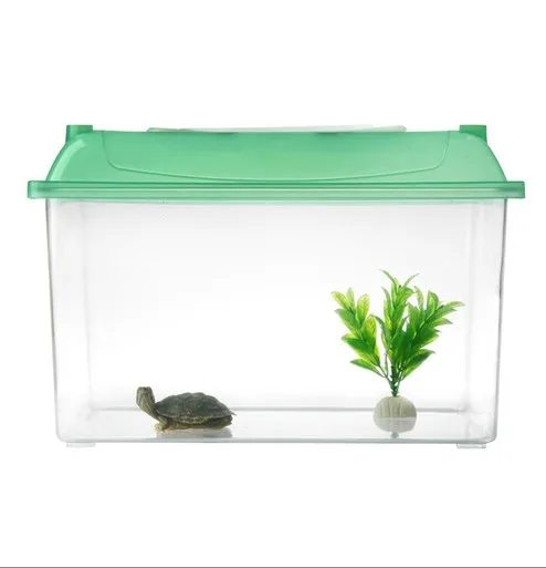 small turtles for fish tank