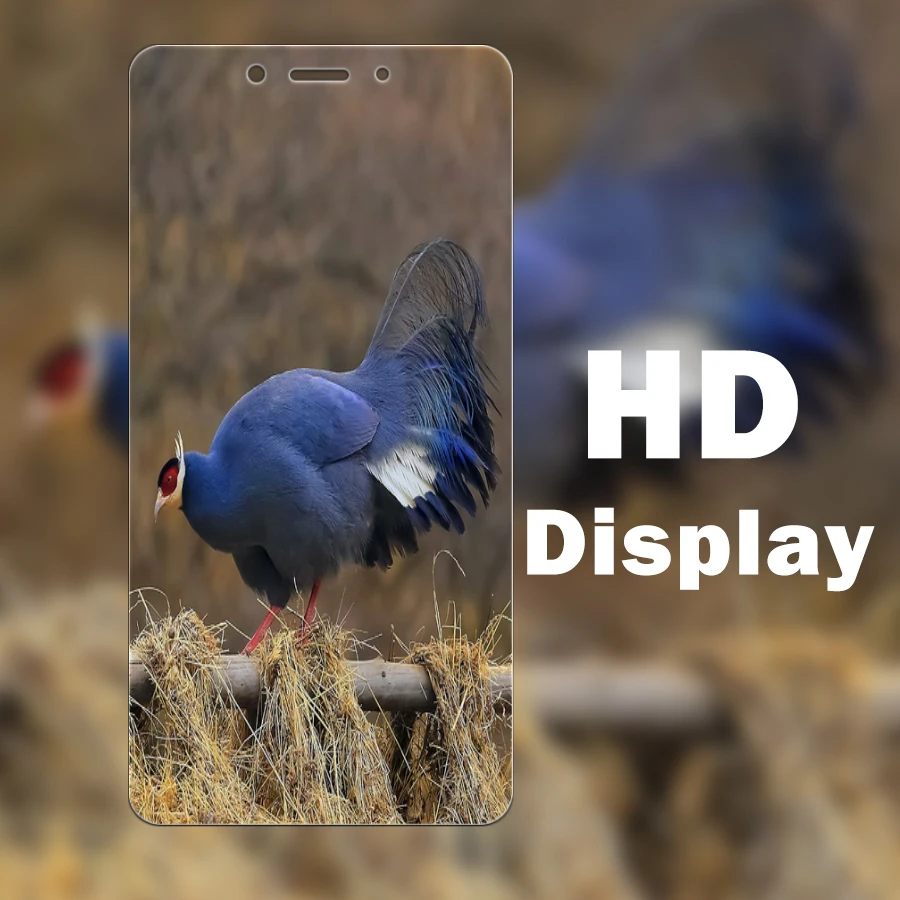 Защитное стекло red mi 5a для xiaomi redmi 5 a 6a 6 4a 4 4x4 x защитное resmi remi radmi xaomi ksiomi a5 a4 2