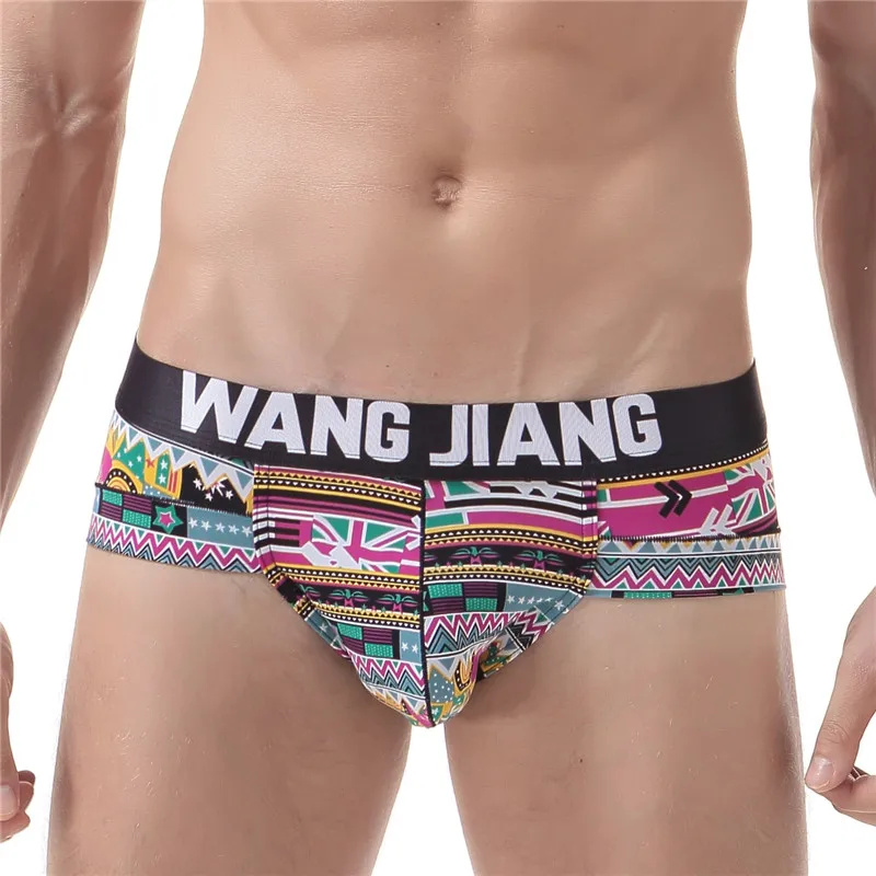 2017 New Mens print briefs Cute pouch underwear for men Wholesale cheap