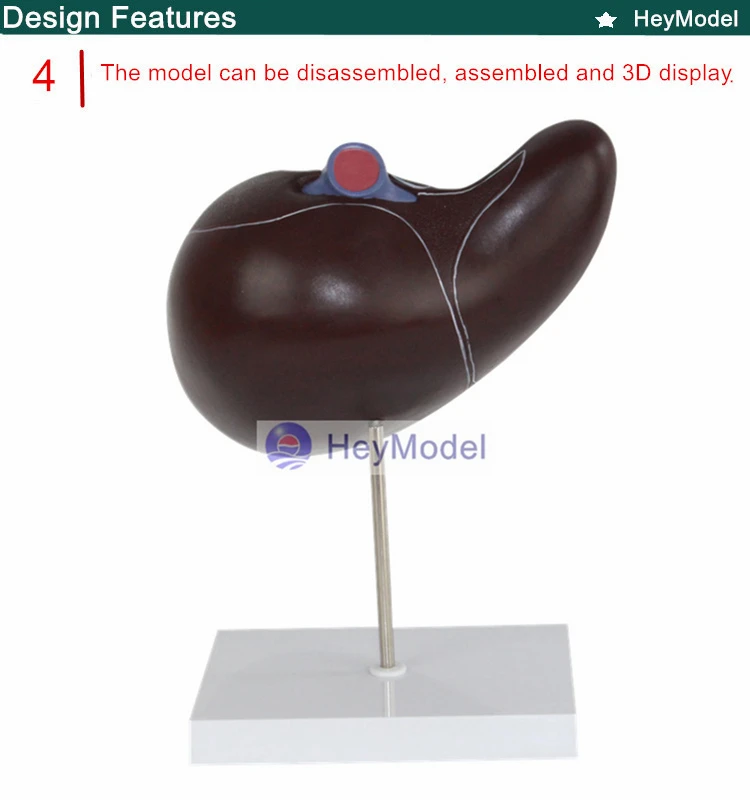 4 _