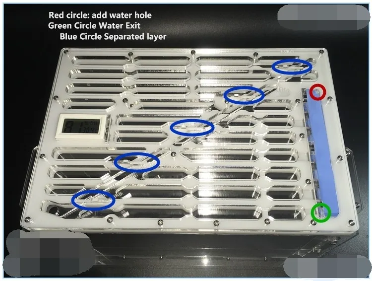 Taitan-High-Quality-Ant-Nest (2)