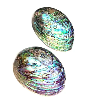 

LE SKYShell Pendants Charms Necklace Pendant for Jewelry Making DIY Accessories Fit Necklaces Size 90x125mm