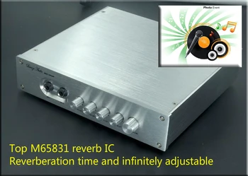 

220V M65831 Exclusive Digital Karaok Player Adjustable Delay Time with OPA275 Doubles Precision JRC5532 Preamplifier HIFI AMP