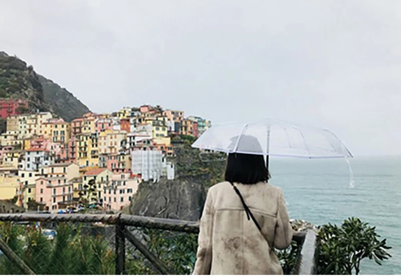parapluie transparent1 (8)