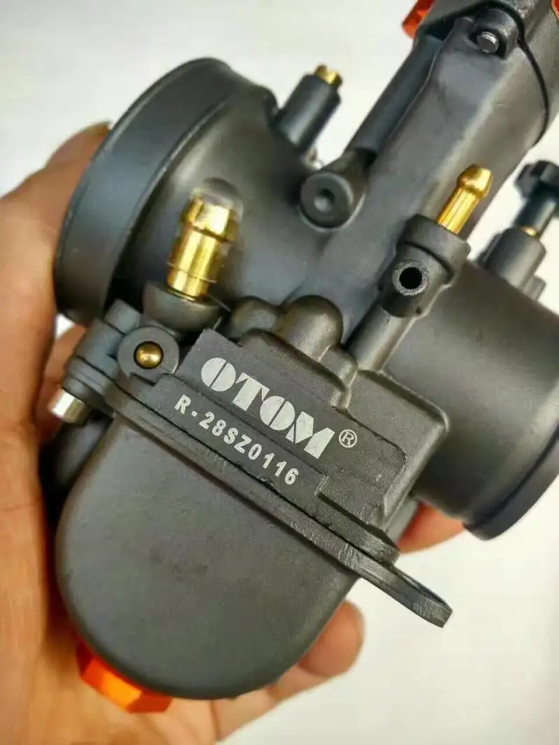 apollo 250 carburetor