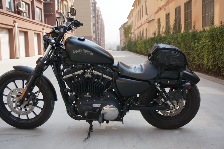 Harley & Cruiser   flame  tail Bag 6