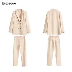 Новые рабочие модные брючные костюмы для женщин комплект из 2 частей для винтажный Блейзер куртка и брюки офисный костюм для дам Feminino 2019