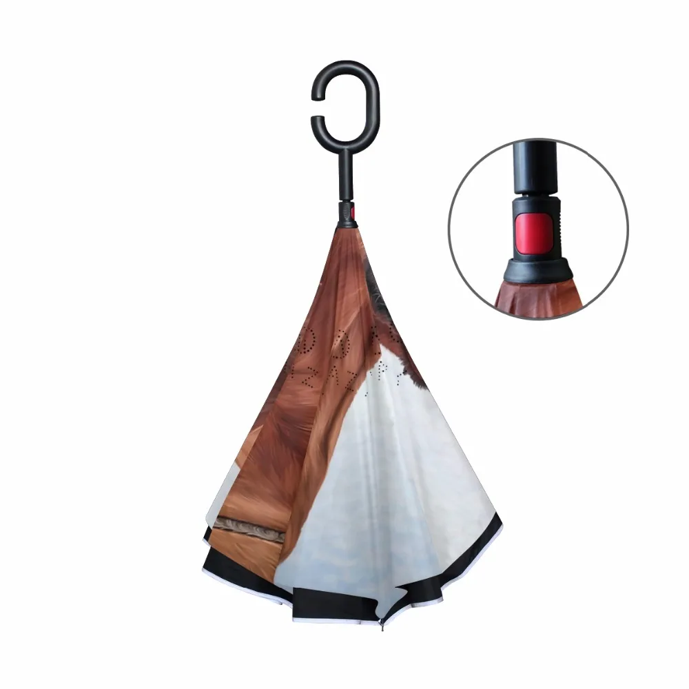 g3354689p183c217s313_2