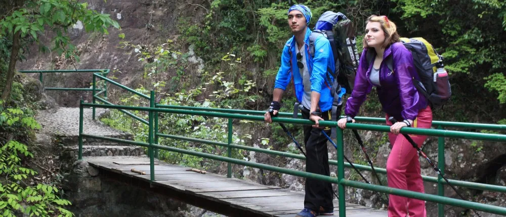 2295027666_766801191