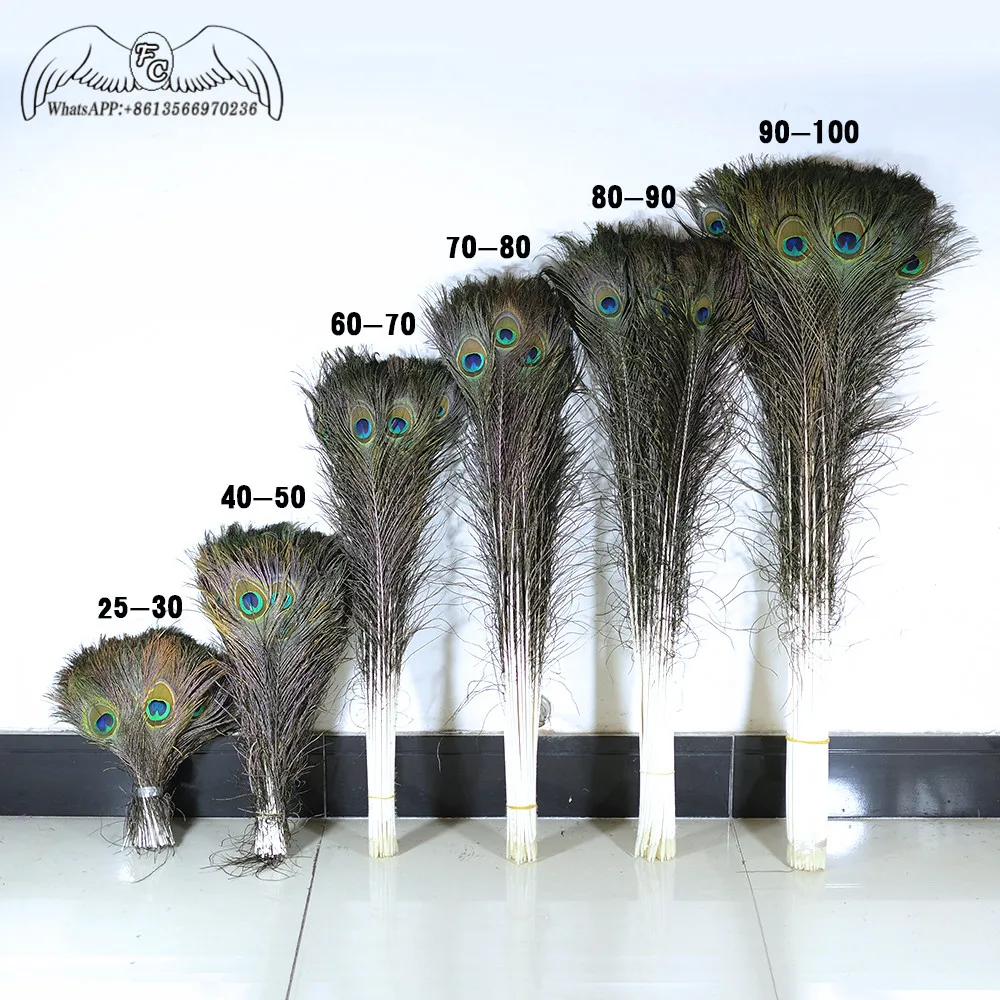 

50pcs/LotTop Quality Peacock Feather 25-70CM Beautiful Natural Peacock Eye Feather DIY Jewelry Decorative Deco Accessories Plume