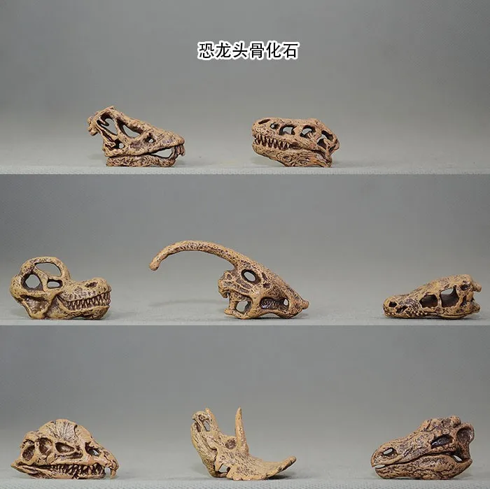 dinosaur skull price
