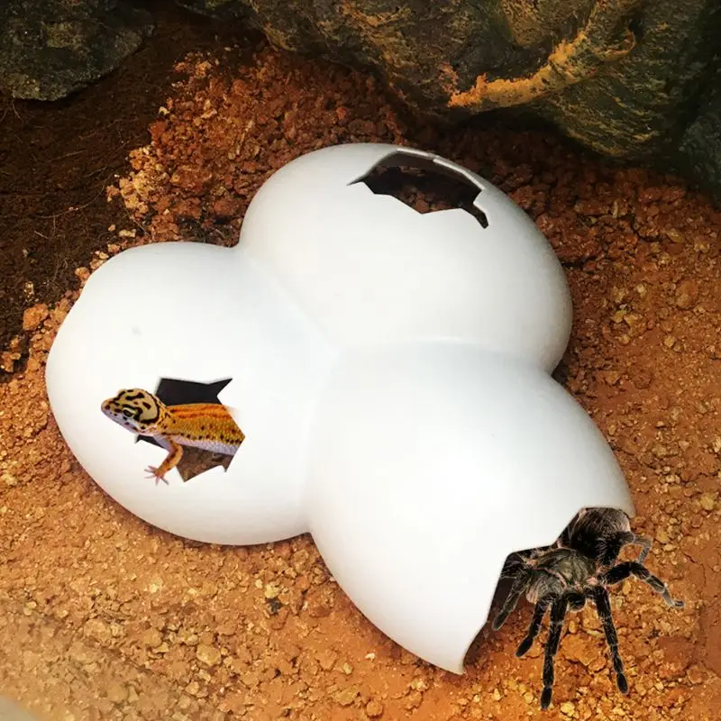 Рептилия скрывающая пещера животное чехол яйцо оболочка украшение для черепахи ящерица змея