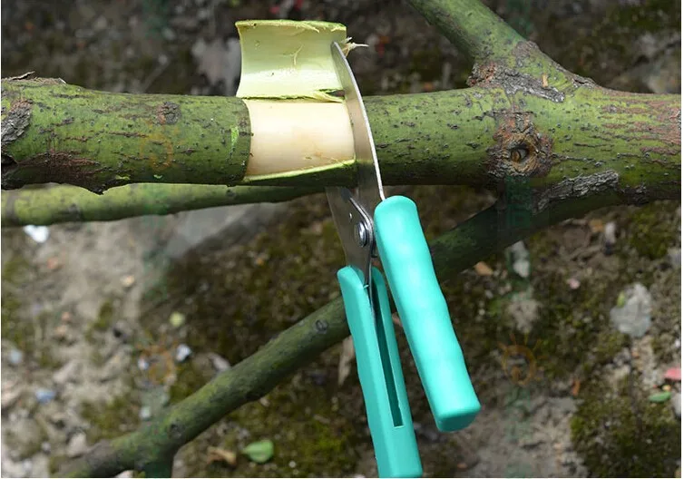Кольцо лающий резак ножничный жирочный нож садовое фруктовое дерево Виноград Вишня секатор инструмент кустарник сад