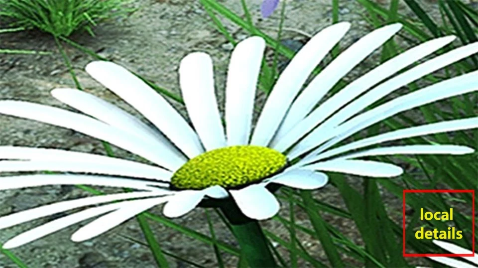 36020170621095346040