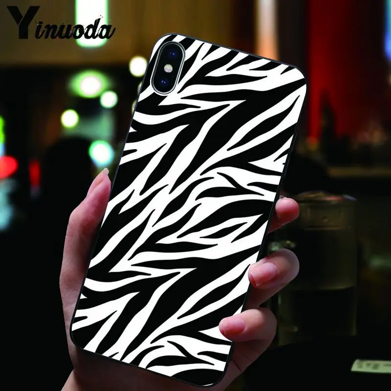 Animal Black white Zebra Stripe